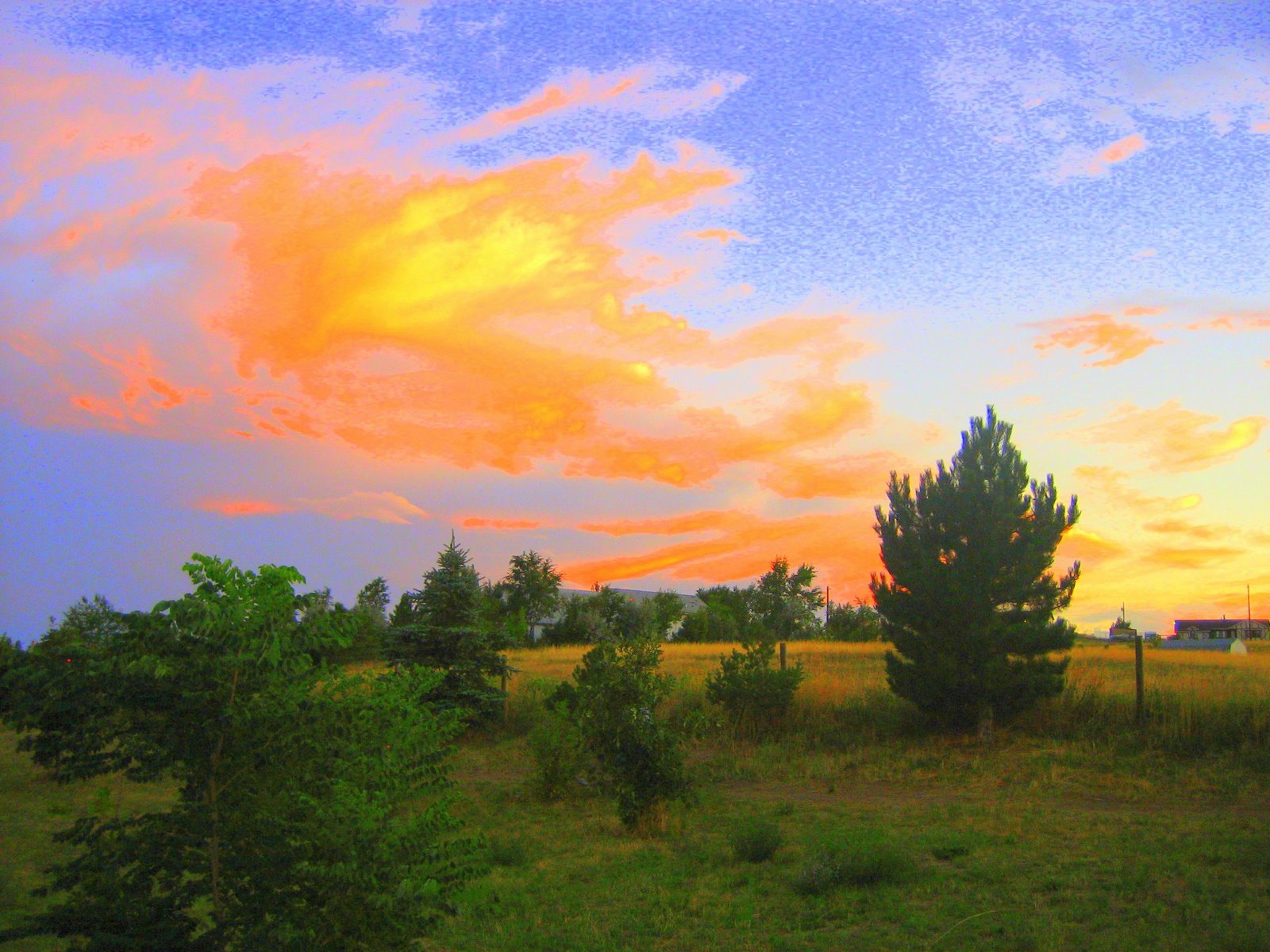 [sunset+in+field.jpg]