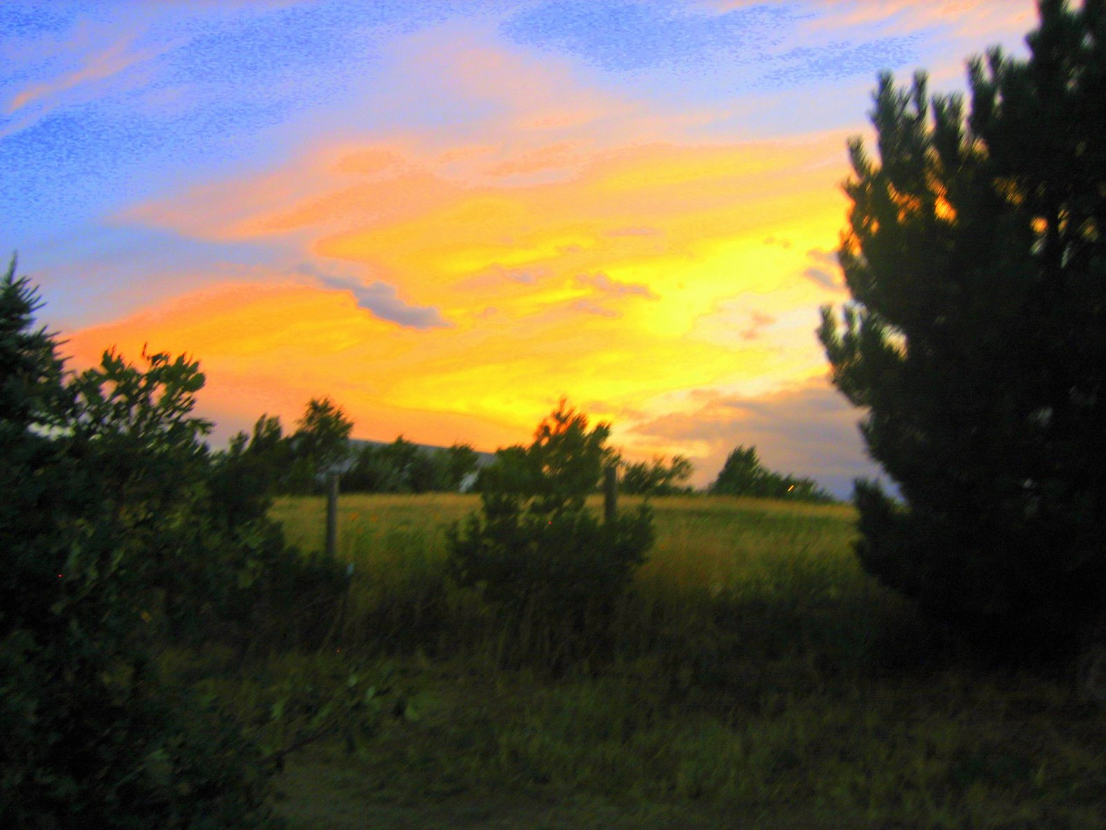 [sunset+in+field+2.jpg]