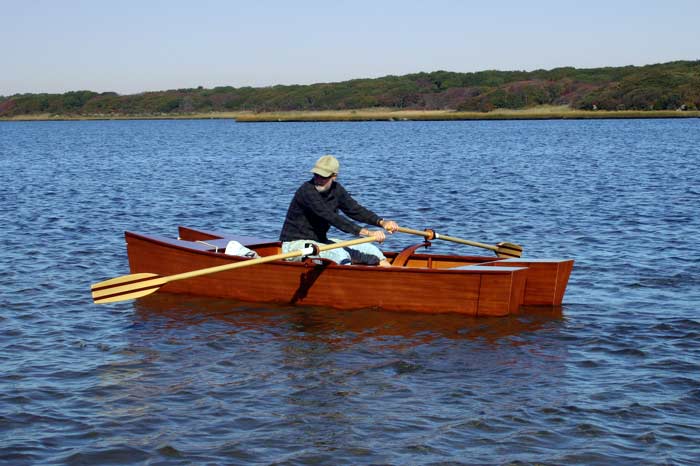 [rowing-cat-6.jpg]