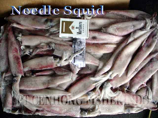 Offer Needle Squid