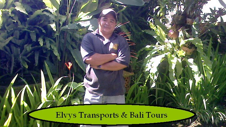 Elvys Transport & Bali tours Guide