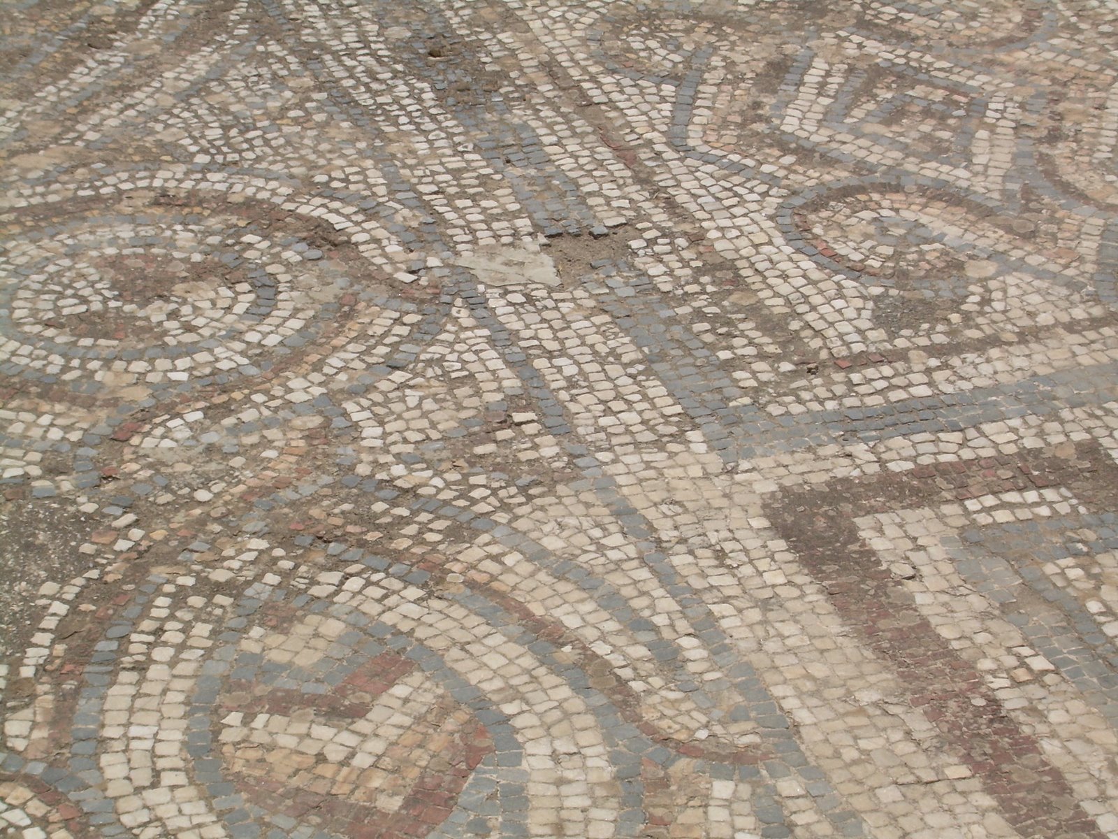 [Mosaic+in+Ephesus.JPG]