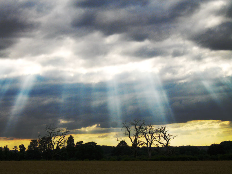 [800px-Crepuscular_rays_with_clouds_and_high_contrast_fg_FL.jpg]