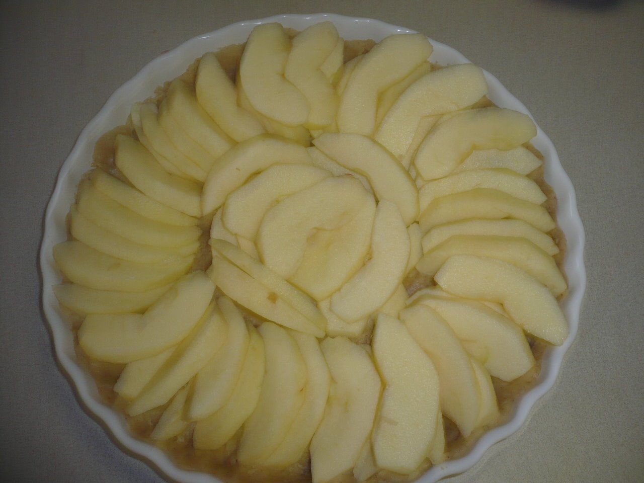 [apple-slices.JPG]