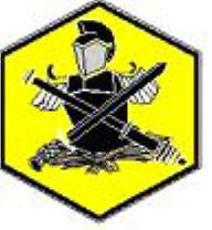 Địa Phương Quân Logo
