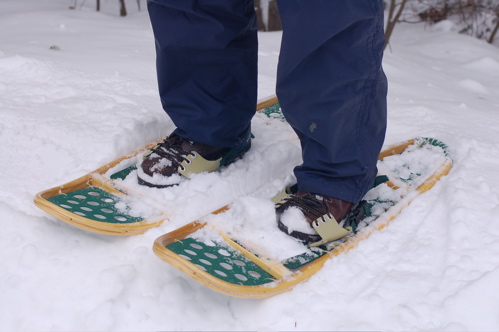 [snowshoes.jpg]