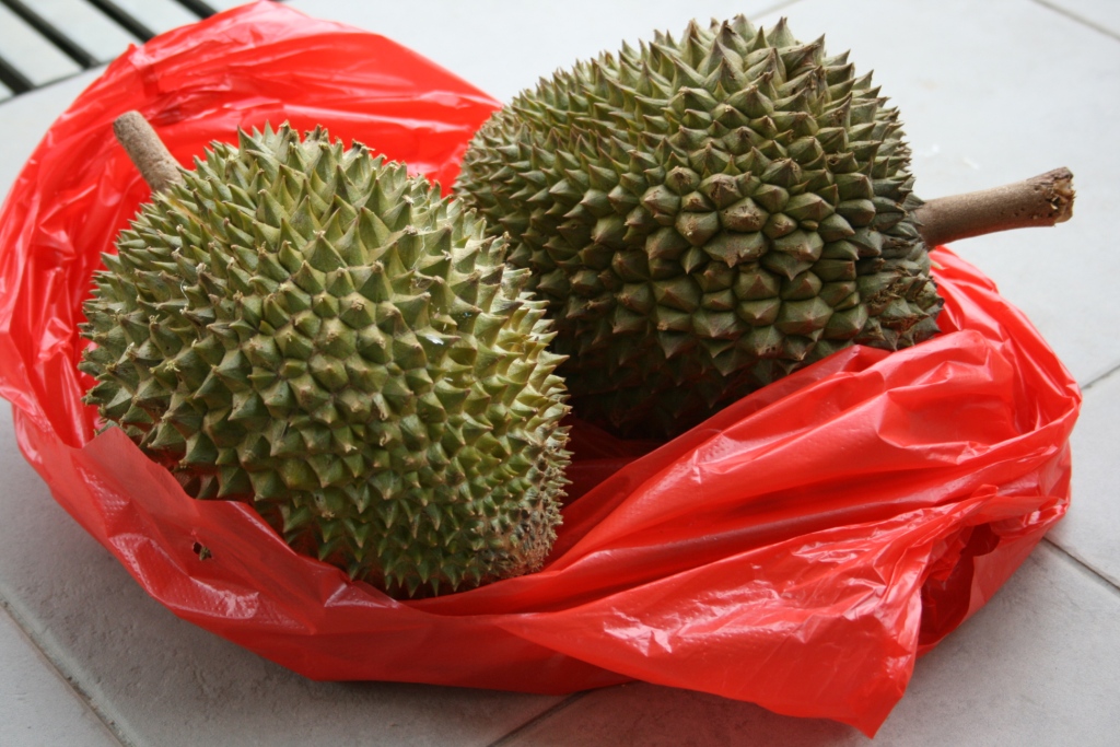 [durian+1.JPG]