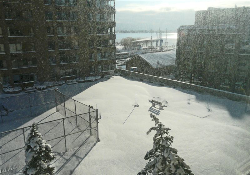 [Dalla+finestra+di+casa-+nevicata23+feb+2008.jpg]