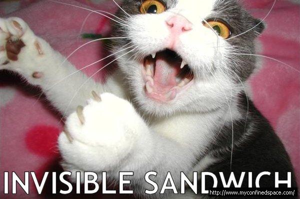 [invisible-sandwich.jpg]
