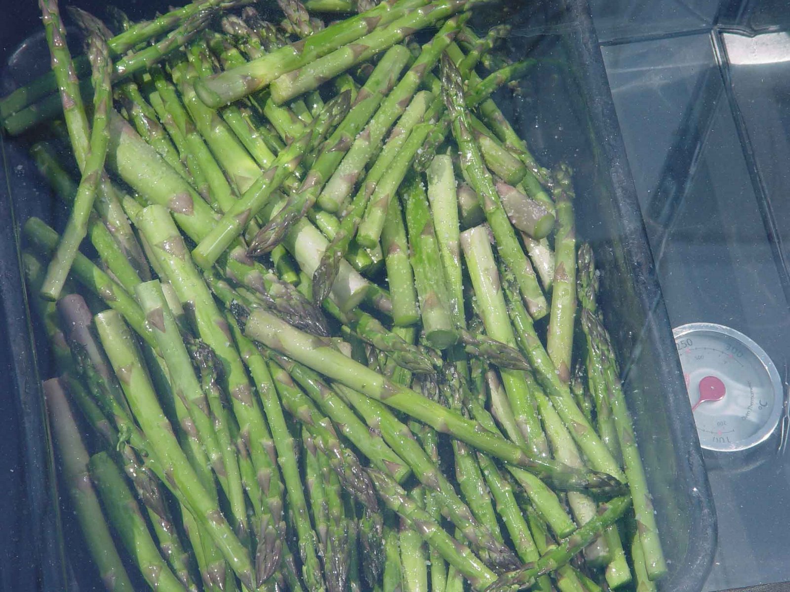 [asparagus.jpg]