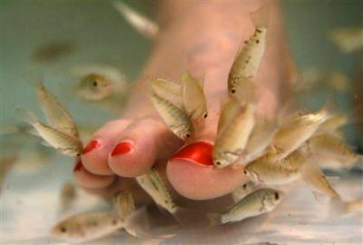 [carp+fish+foot+photo.jpg]