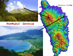 Territorio indígena  Caribe en Waitikubuli (Dominica)