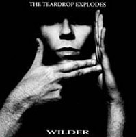 [Teardrop+Explodes+-+Wilder+(US).jpeg]