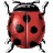 [ladybug.bmp]
