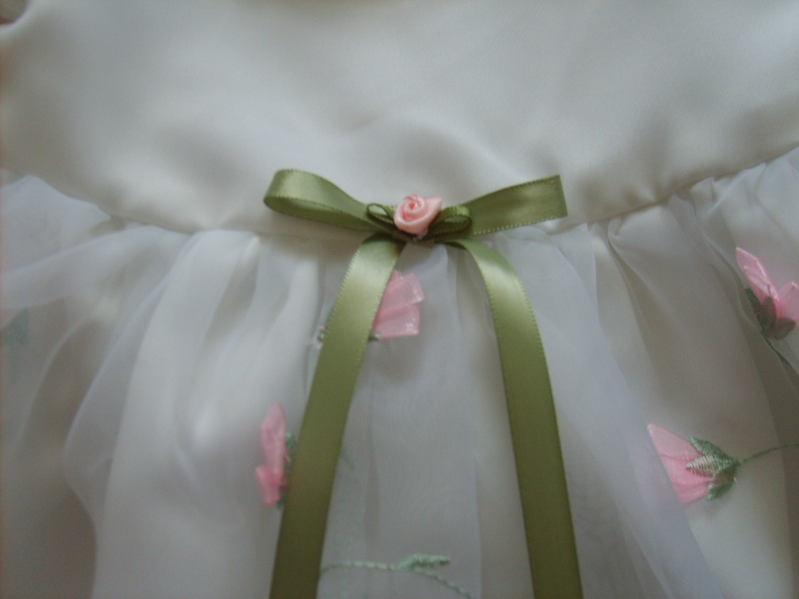 [closeup+of+dress+bow.JPG]