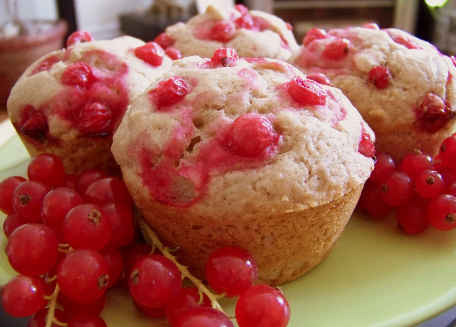 [Red+Currant+Muffins.jpg]