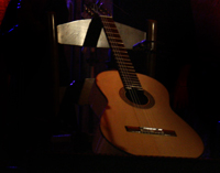 [guitarra+flamenca.jpg]