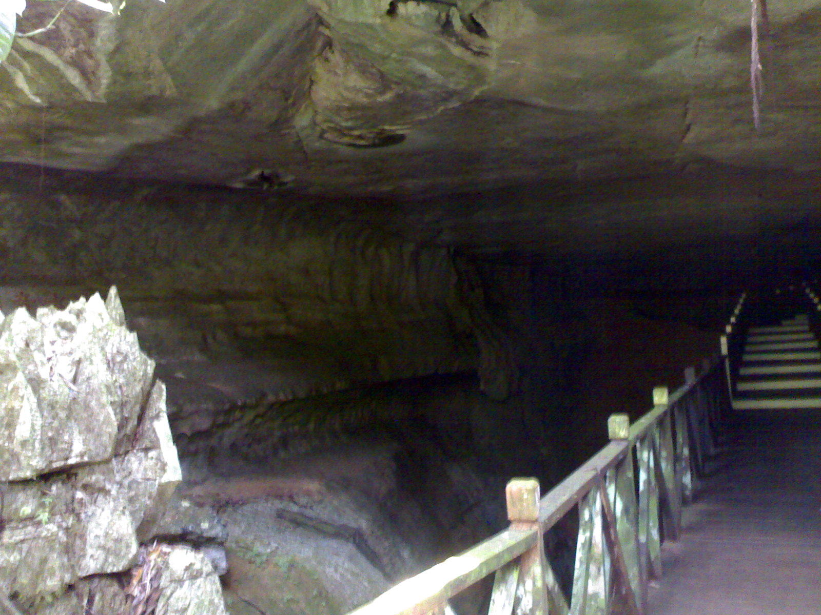 [entrance+of+the+cave.jpg]