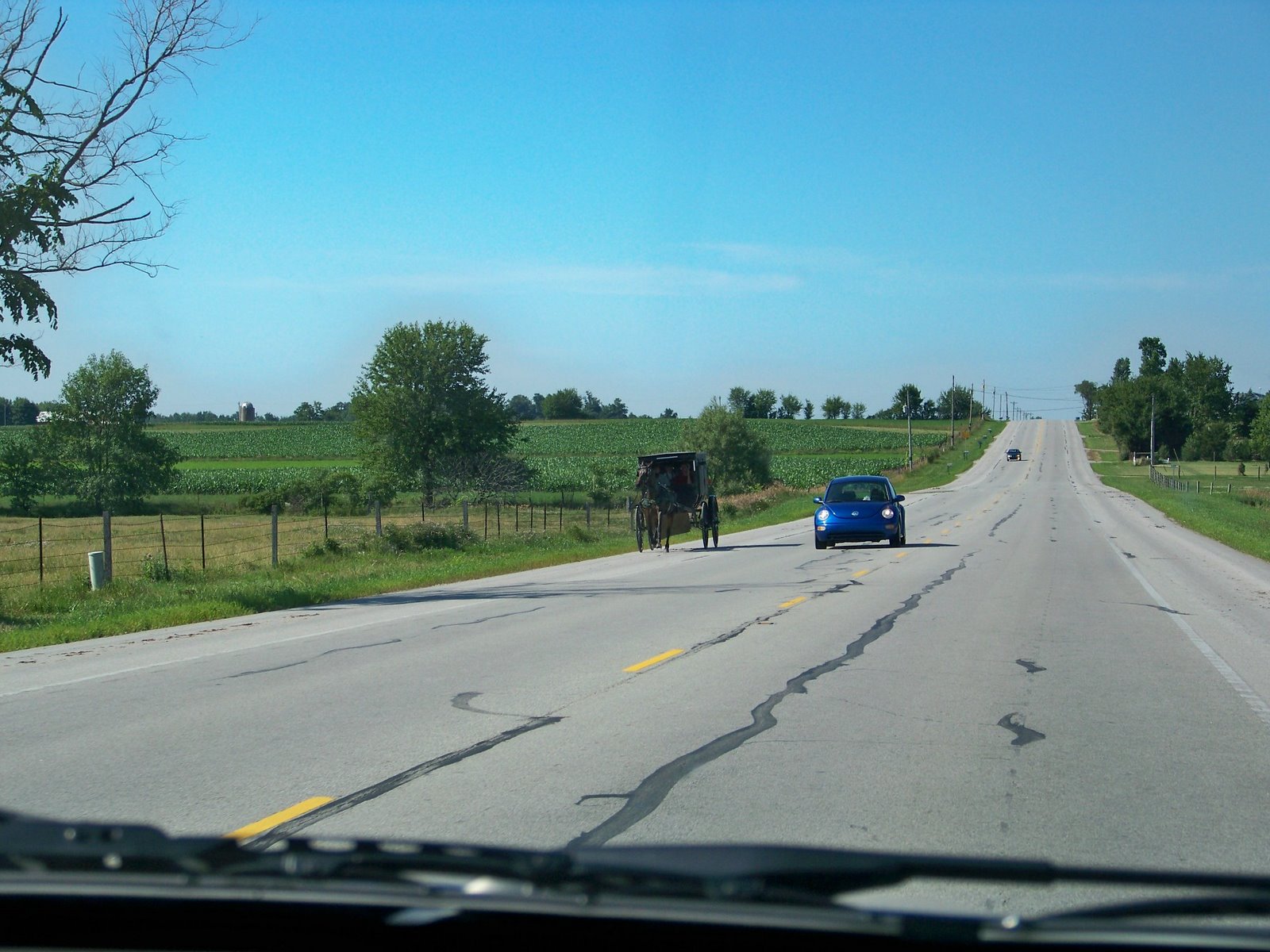 [amish+buggy+on+road.jpg]