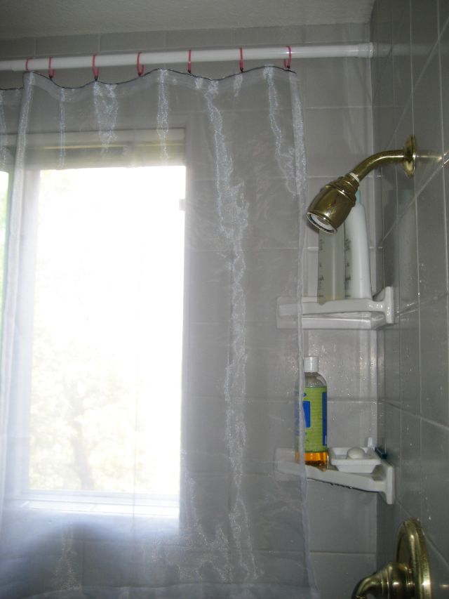 [shower+curtain.jpg]