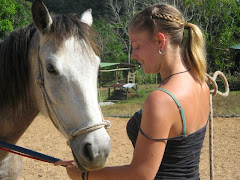 We train the horses with Natural Horsemanship