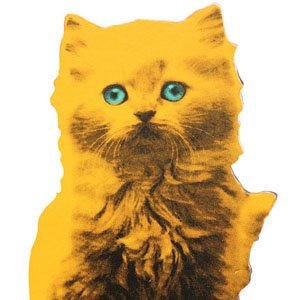 [Flat+Pet+Kitten.jpg]