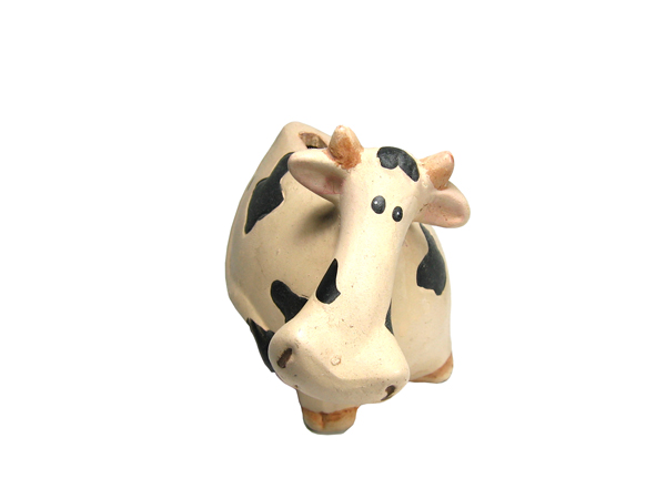 [cow.jpg]