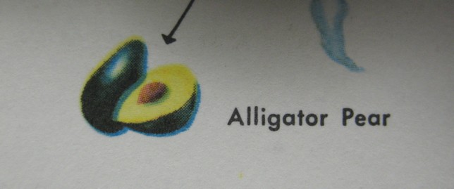 [alligator_pear.JPG]