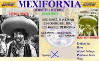 Illegal Alien Driver License