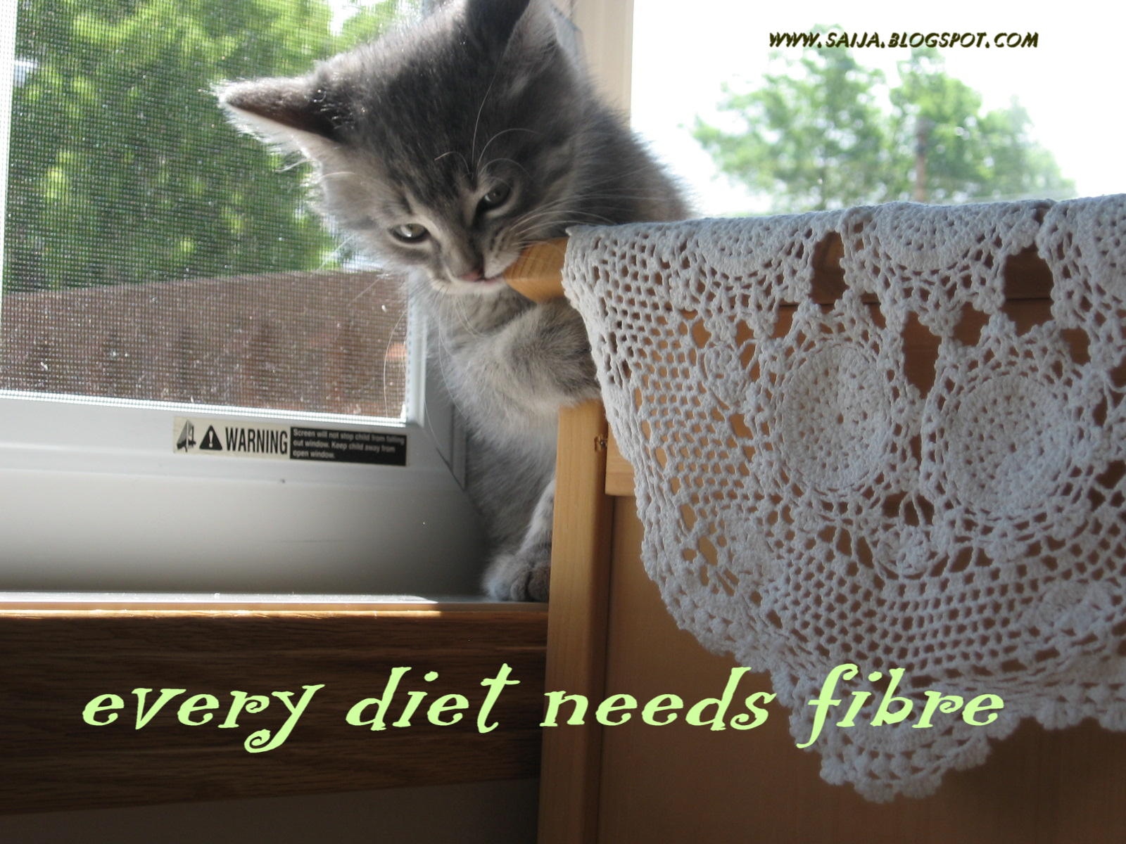 [every+diet+needs+fibre.jpg]