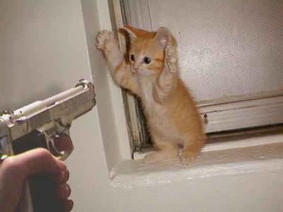 [Cat_burglar.jpg]