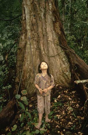 [Sarawak+state,+Borneo,+Malaysia,+1998.jpg]