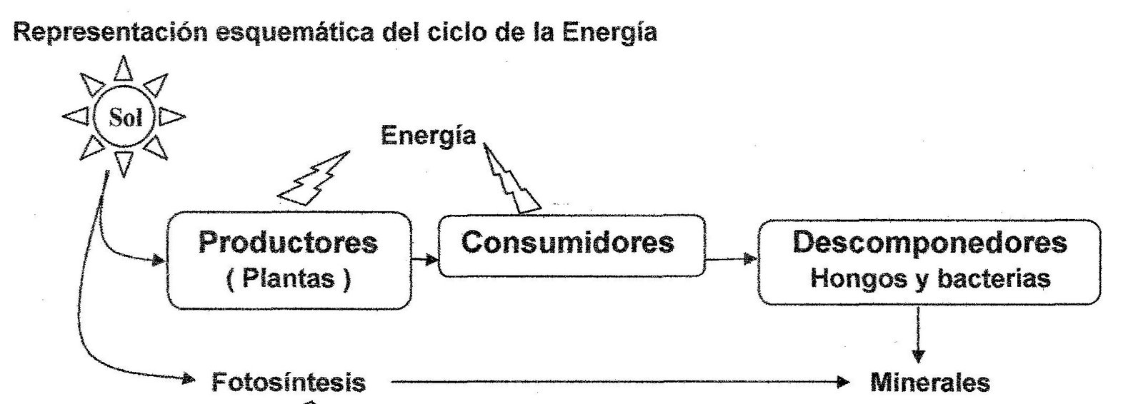 [Ciclo+de+la+Energía.jpg]