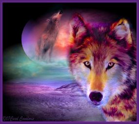colorful wolf dogs with moon