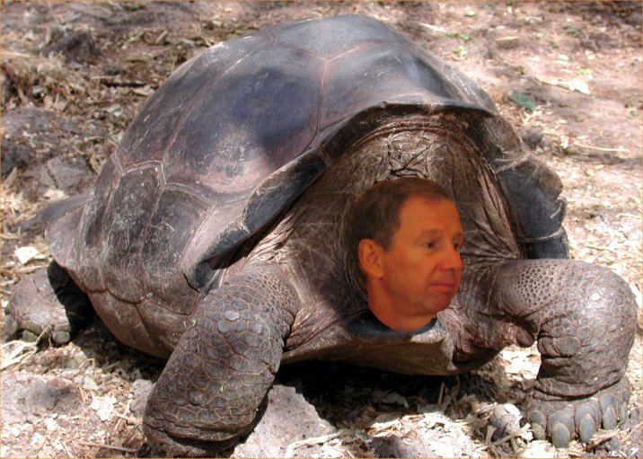 [Mike+Griffin+as+the+Tortoise.jpg]