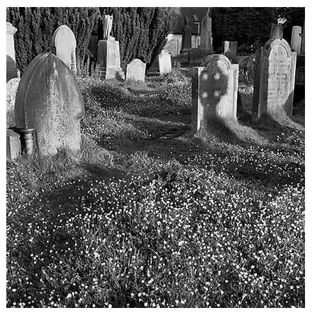 [Stirling-Cemetery.jpg]