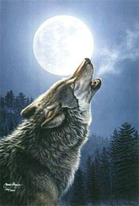 [wolf_howl_moon.jpg]