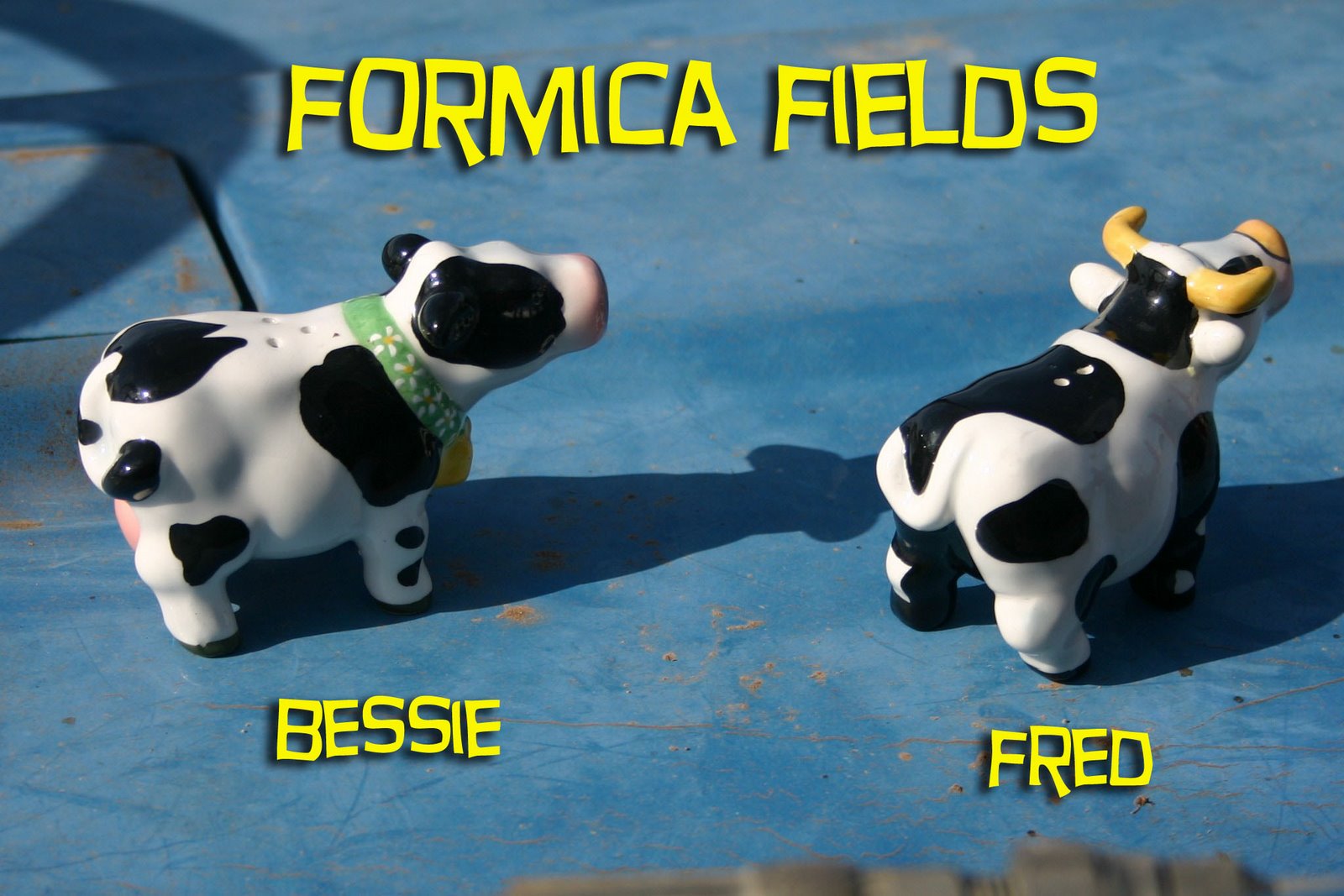 Formica Fields
