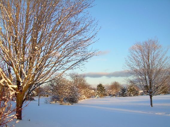 [January+08+Snow+006.jpg]