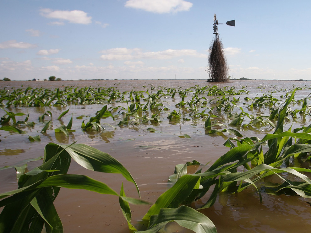 [Iowa+Flooded+Cornfield.jpg]