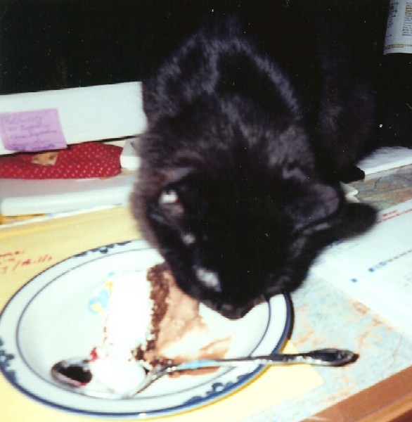 [Nov9-MyCats+McDuff+eating+cake.jpg]