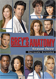 Grey's Anatomy 1-3