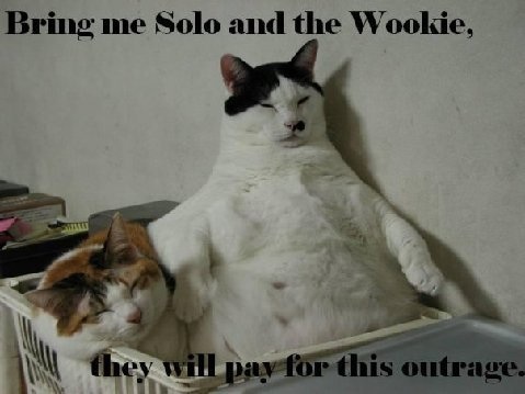 [Jabba+Cat.jpg]