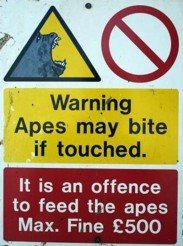 [warning-apes-may-bite-if-touched[1].JPG]