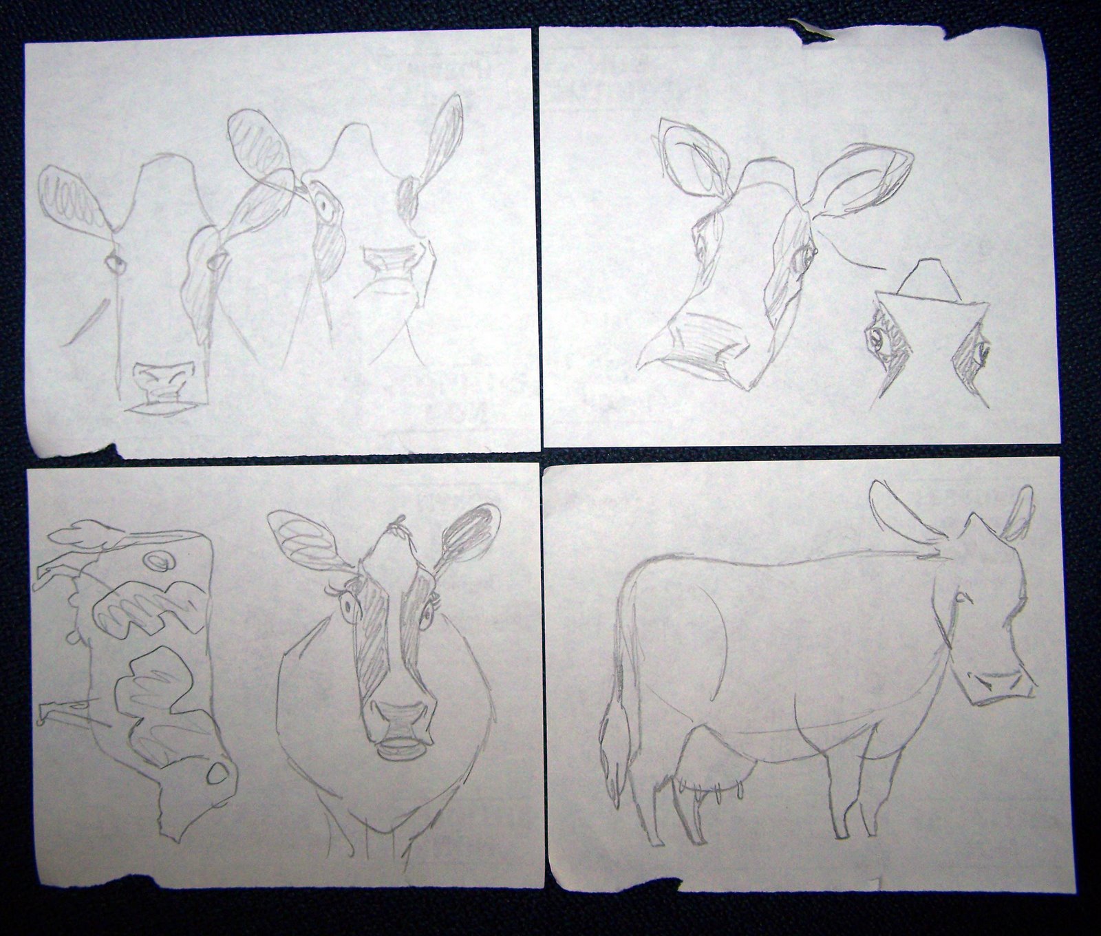 [COW+SKETCHES.jpg]
