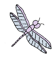 [dragonfly2.gif]