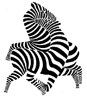 [MANUEL+DE+CABRAL_zebras.gif]