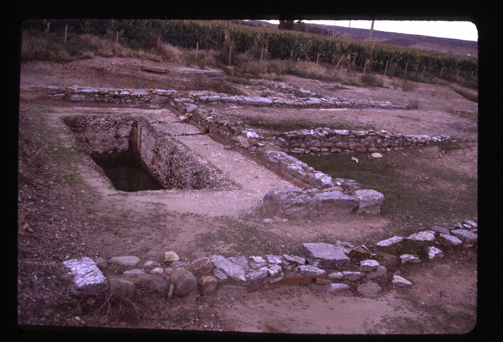 [Navarra+Roman+Winery+Ruins+Funes.JPG]