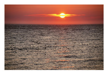 [100828~Sunset-over-the-Ocean-Posters.jpg]