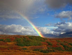 [usa-alaska-denali-park-rainbow-~-200286291-001.jpg]